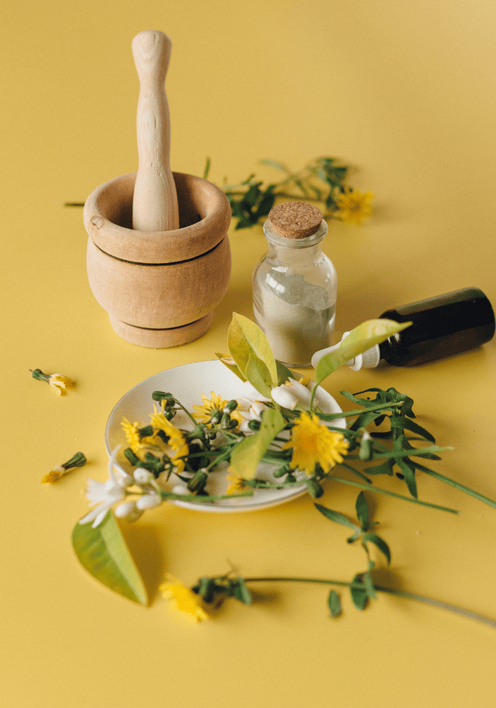 Naturopathie - Clara Colmant